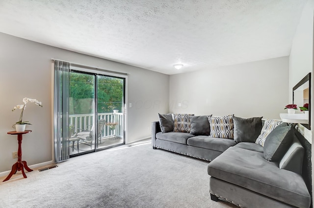 living room featuring a textured ceiling and carpet