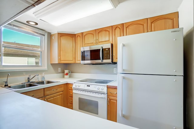 kitchen with white appliances and sink