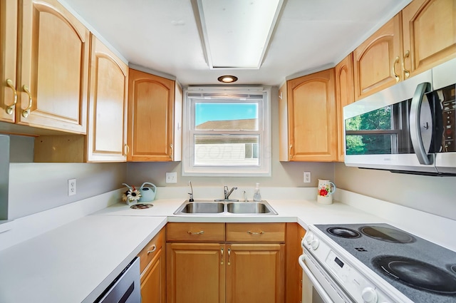 kitchen with sink, dishwasher, and white range with electric cooktop