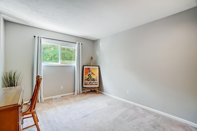 view of carpeted home office