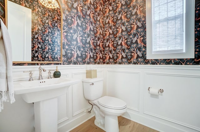 bathroom with toilet and hardwood / wood-style floors