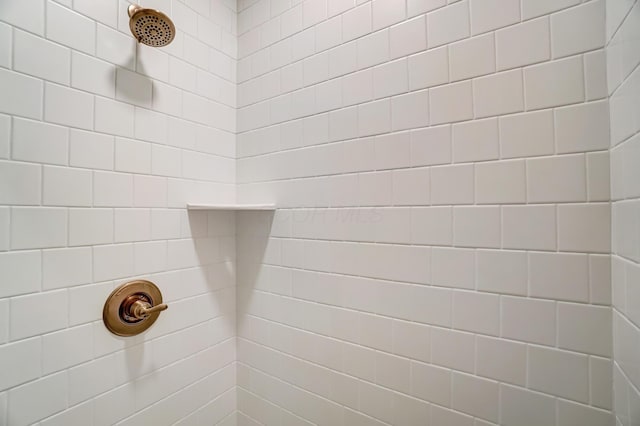 room details with tiled shower