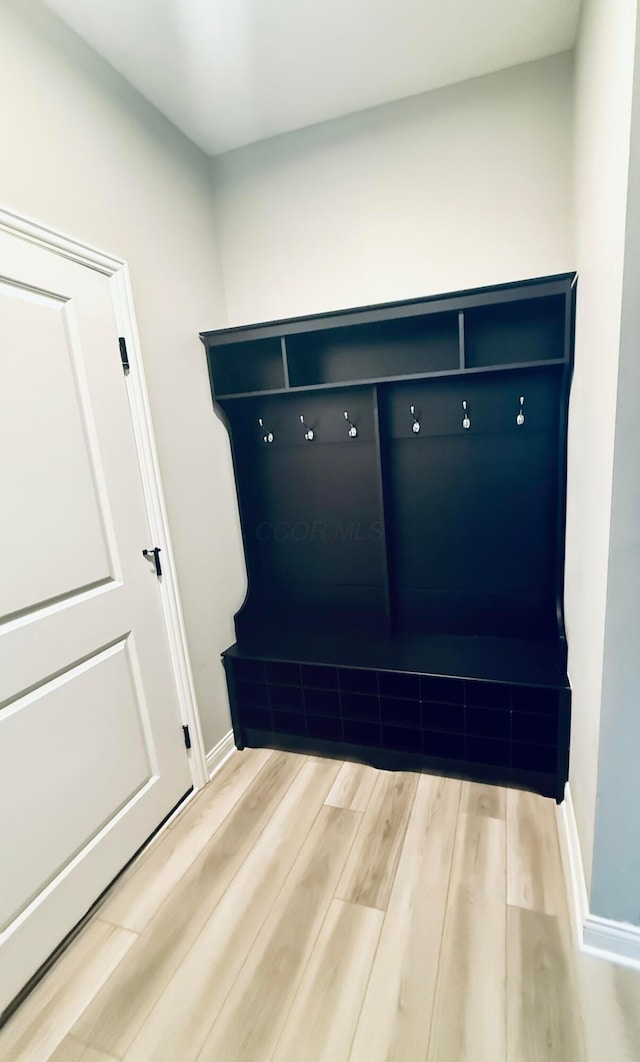 mudroom featuring hardwood / wood-style flooring