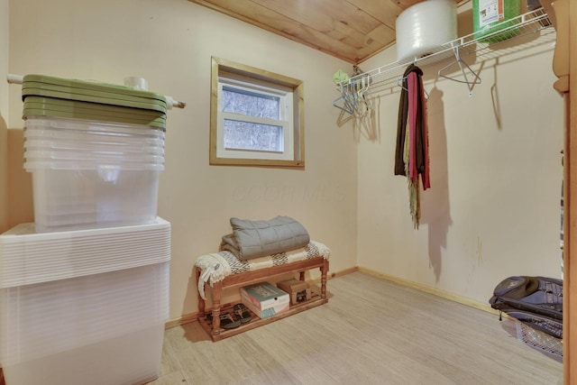 walk in closet with wood-type flooring