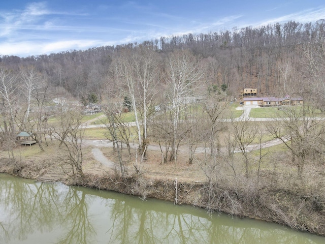 property view of water