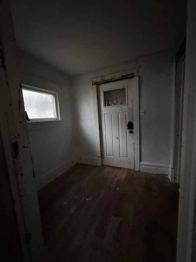 empty room with hardwood / wood-style floors