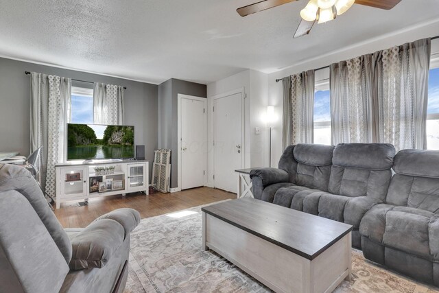 living room with a textured ceiling, a ceiling fan, and wood finished floors