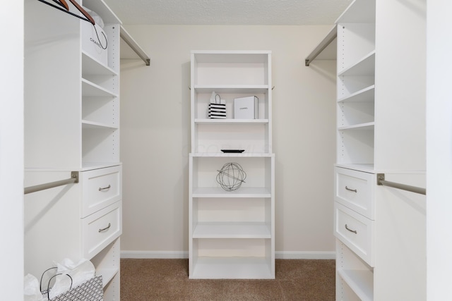 spacious closet with carpet flooring