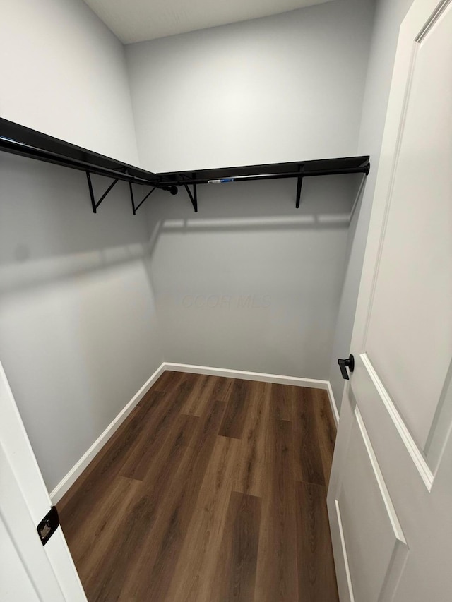 walk in closet featuring wood finished floors