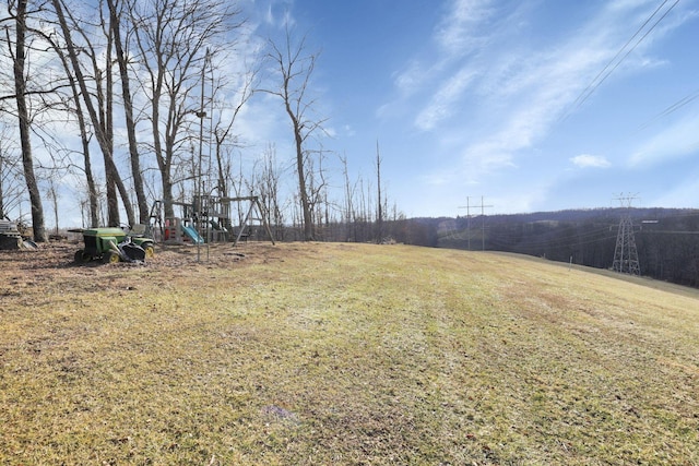 view of yard featuring playground community