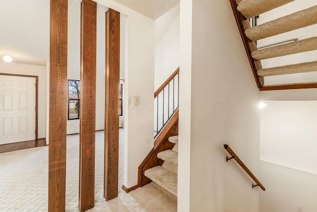 staircase with carpet