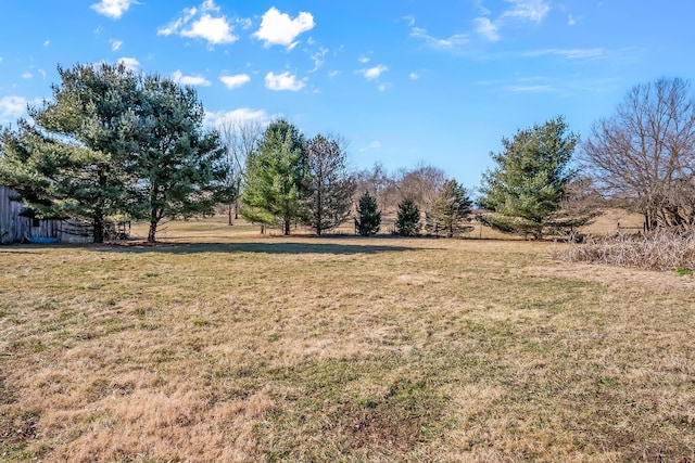 view of yard with a rural view