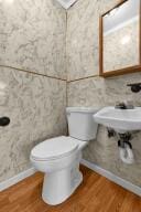 bathroom with hardwood / wood-style flooring and toilet