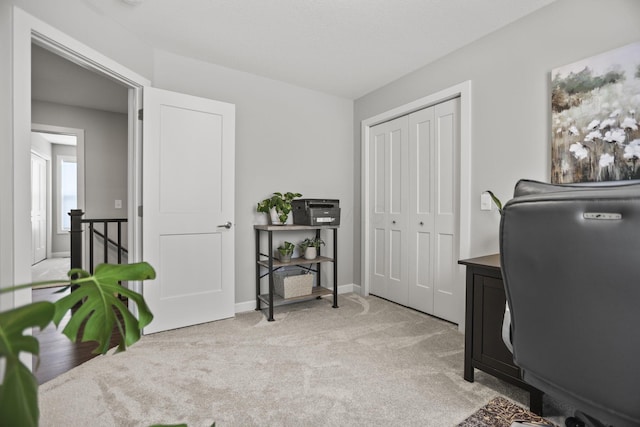 office space with light colored carpet