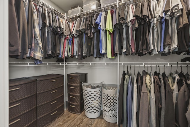 spacious closet with hardwood / wood-style floors