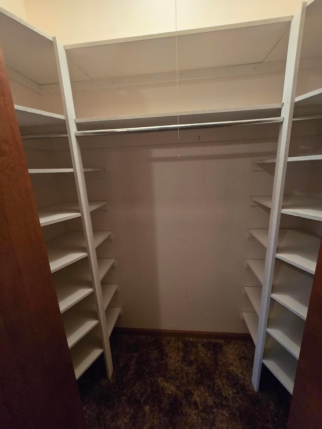 view of walk in closet