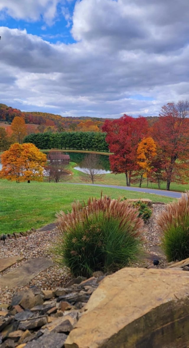 view of community featuring a yard and a water view