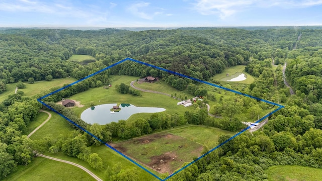 20358 Buena Vista Rd, Rockbridge, OH 43149 - aerial view of property's location featuring property parcel outlined, a heavily wooded area, and a large body of water