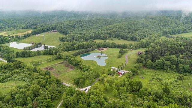 20358 Buena Vista Rd, Rockbridge, OH 43149 - aerial view of property and surrounding area featuring a large body of water and a heavily wooded area