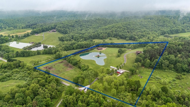 20358 Buena Vista Rd, Rockbridge, OH 43149 - aerial view of property's location with property parcel outlined, a large body of water, and a heavily wooded area