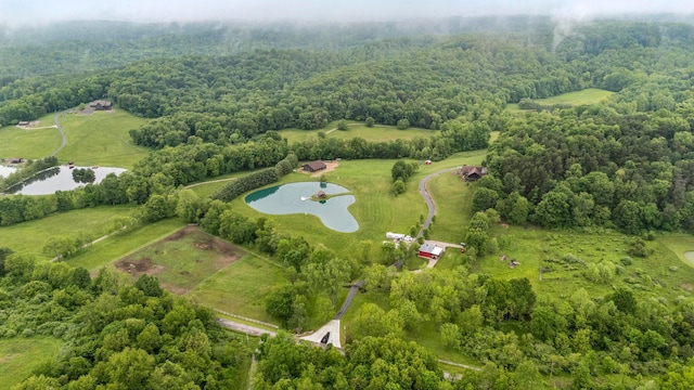 20358 Buena Vista Rd, Rockbridge, OH 43149 - view of property location featuring a nearby body of water and a heavily wooded area