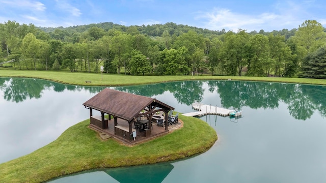 20358 Buena Vista Rd, Rockbridge, OH 43149 - drone / aerial view of a large body of water and a forest