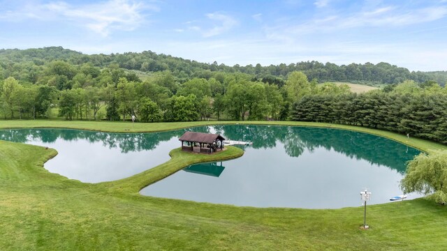 20358 Buena Vista Rd, Rockbridge, OH 43149 - view of pool featuring a water view, a yard, and a wooded view