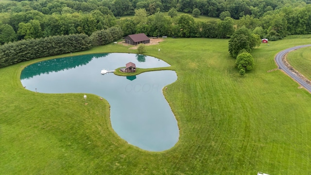 20358 Buena Vista Rd, Rockbridge, OH 43149 - bird's eye view of a large body of water