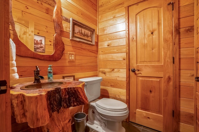 20358 Buena Vista Rd, Rockbridge, OH 43149 - half bathroom featuring wood walls, toilet, and vanity