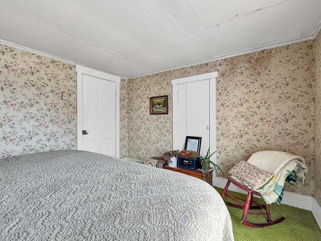 bedroom featuring carpet