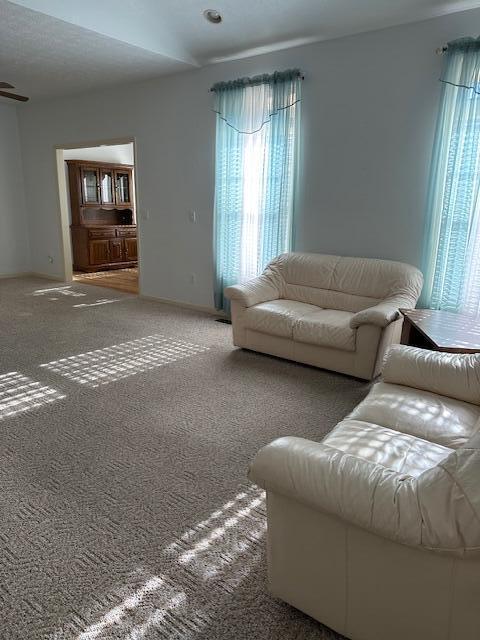 carpeted living room featuring a wealth of natural light