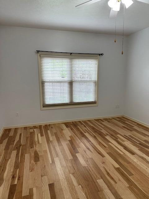 3 Claire Ct, Circleville, OH 43113 - unfurnished room featuring plenty of natural light, light wood-style floors, baseboards, and ceiling fan