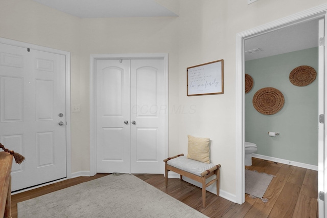 entryway featuring wood-type flooring