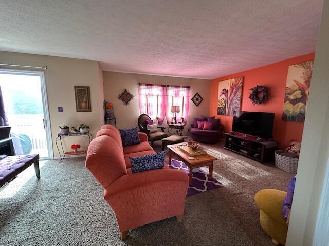 living room with carpet and a textured ceiling