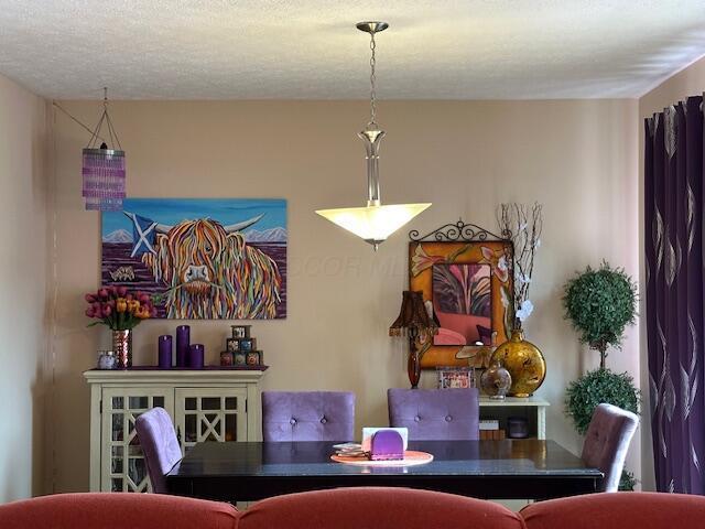 dining area with a textured ceiling