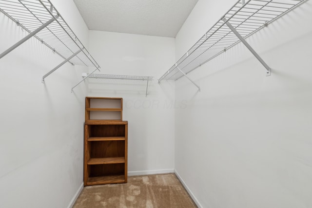 walk in closet with carpet flooring