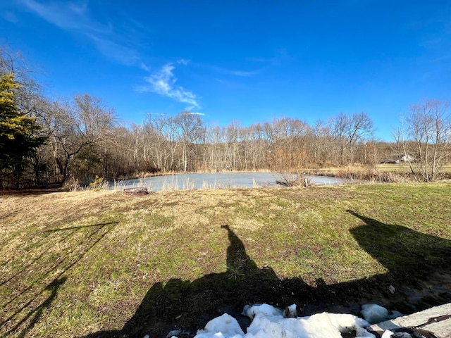 view of yard with a water view