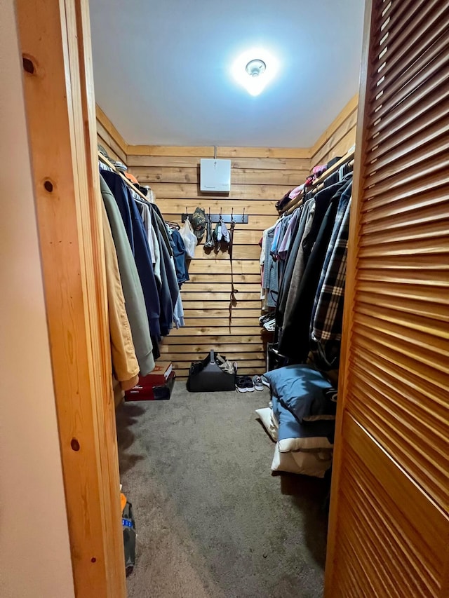 spacious closet featuring carpet flooring