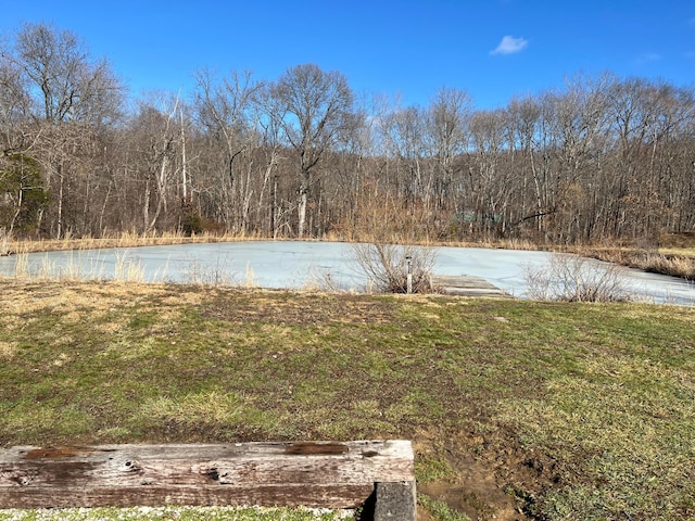 view of yard featuring a water view