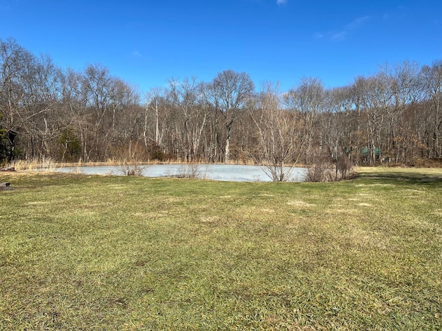 view of yard with a water view