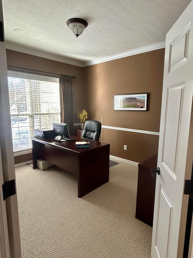 carpeted office space featuring crown molding and a textured ceiling