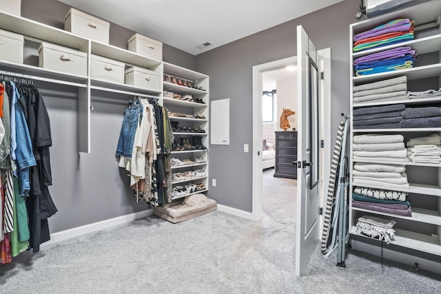 spacious closet featuring light colored carpet