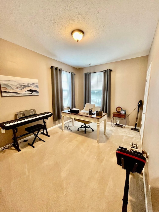 office area with carpet floors and a textured ceiling