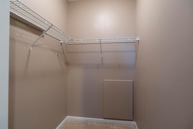1240 Paddock Loop, Washington Court House, OH 43160 - walk in closet featuring carpet