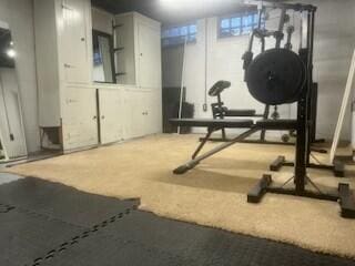 workout area featuring carpet flooring