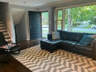 living room with ornamental molding