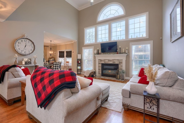 living room with a fireplace, wood-type flooring, ornamental molding, and plenty of natural light