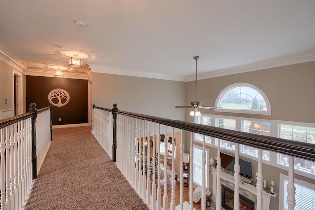 hallway with carpet floors and ornamental molding