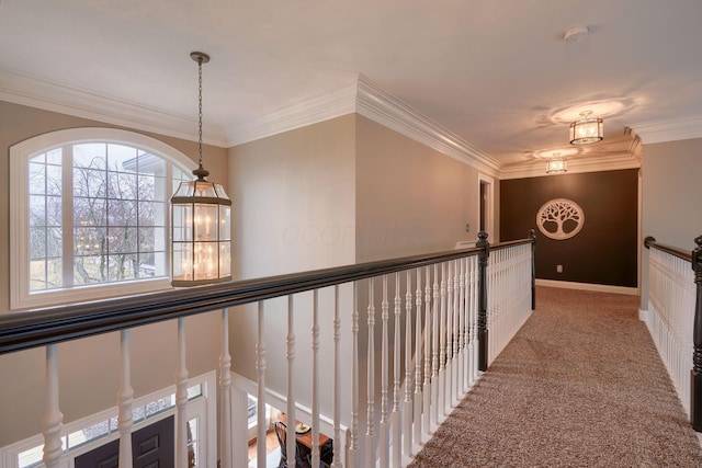 corridor featuring ornamental molding and carpet