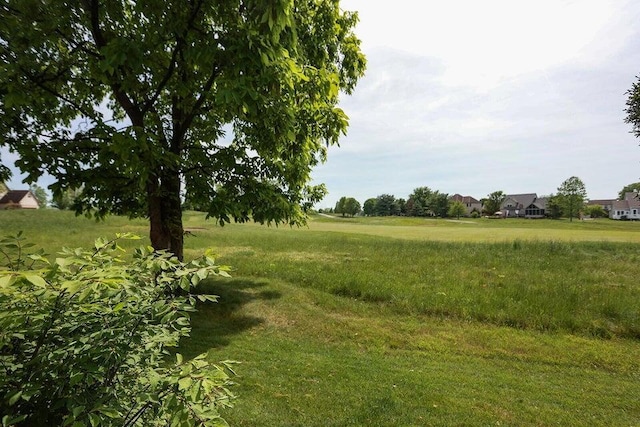 view of local wilderness